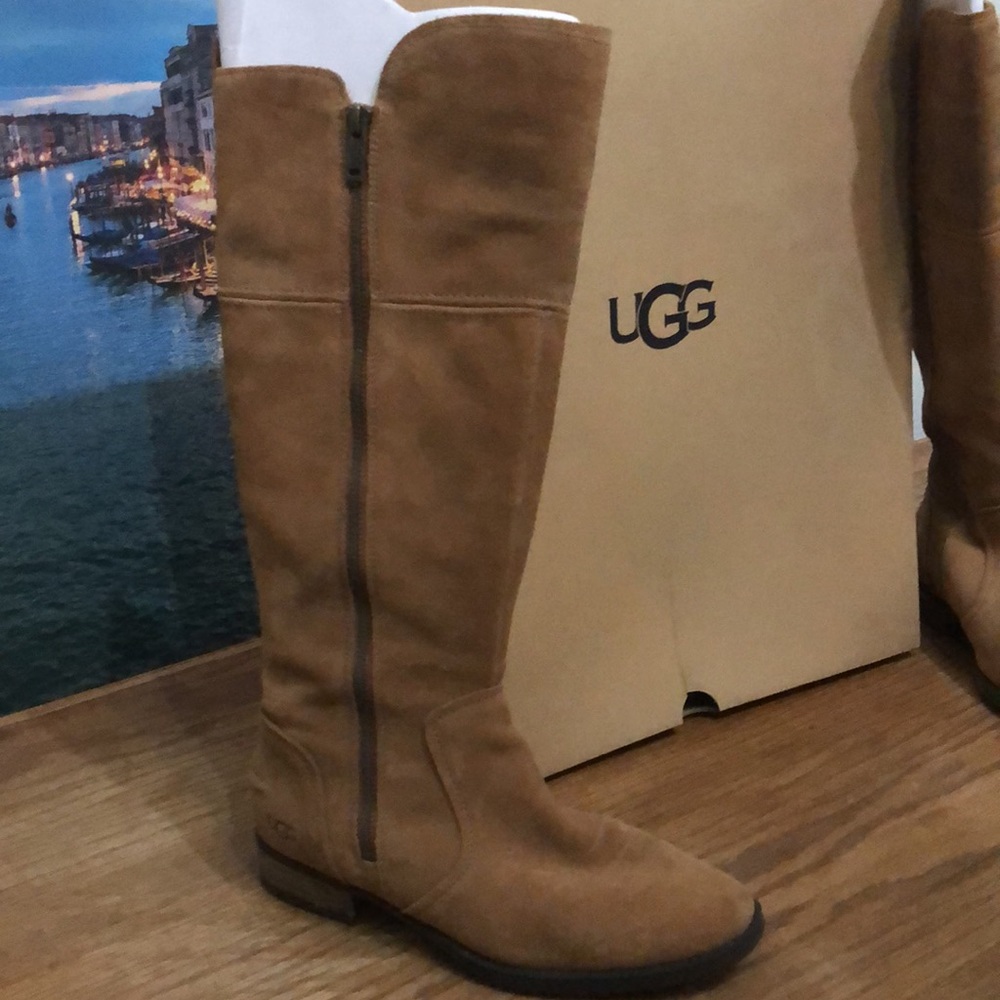 UGG Riding Boots👢 - Picture 2 of 12